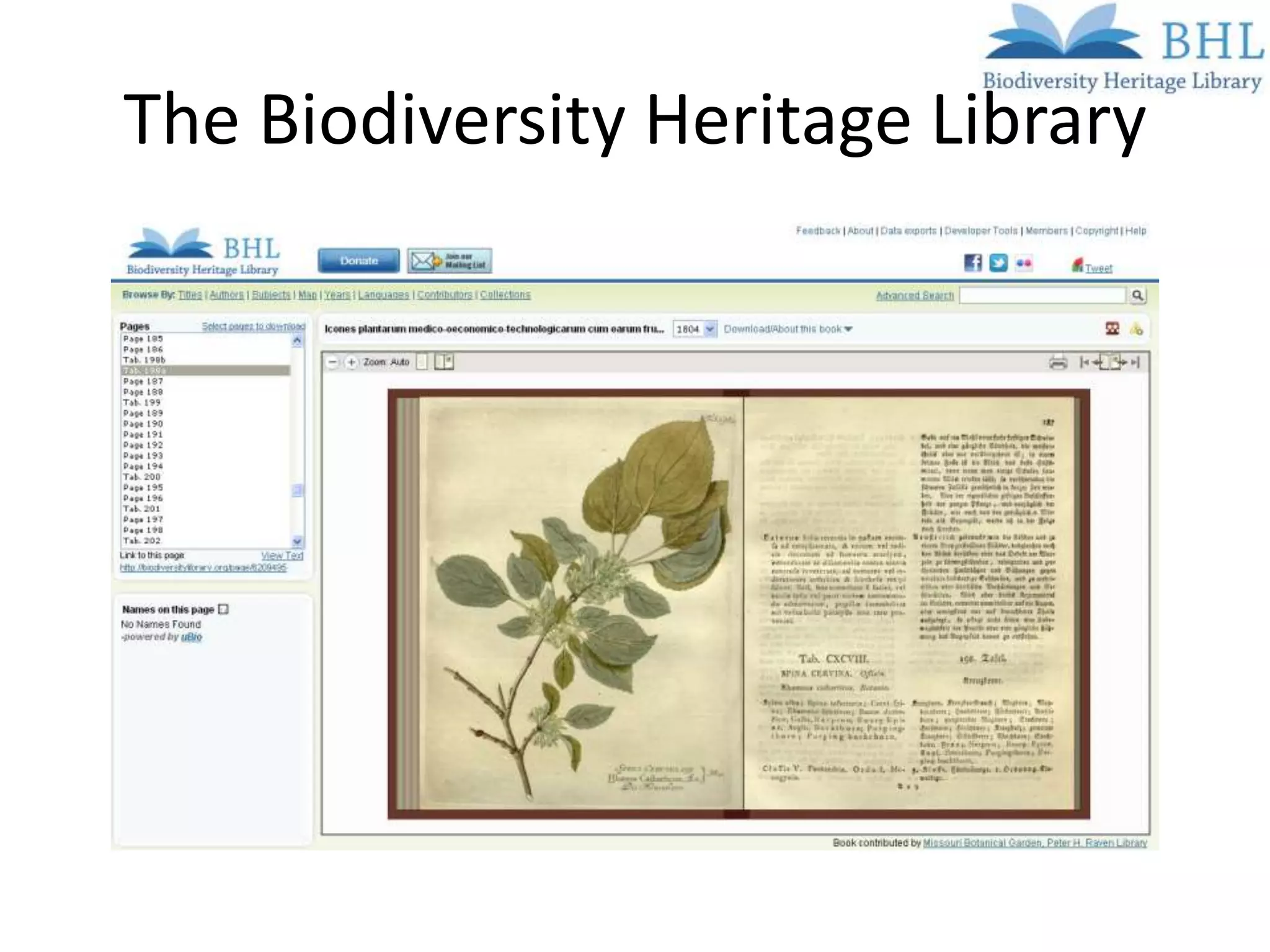 The Biodiversity Heritage Library
 