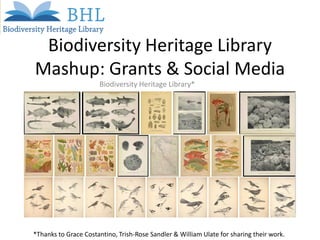 Biodiversity Heritage Library
Mashup: Grants & Social Media
Biodiversity Heritage Library*

*Thanks to Grace Costantino, Trish-Rose Sandler & William Ulate for sharing their work.

 