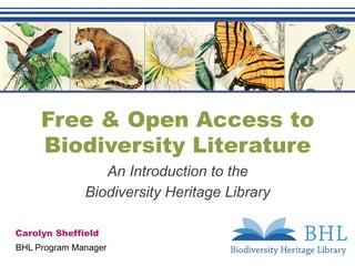 Free & Open Access to
Biodiversity Literature
An Introduction to the
Biodiversity Heritage Library
Carolyn Sheffield
BHL Program Manager
 
