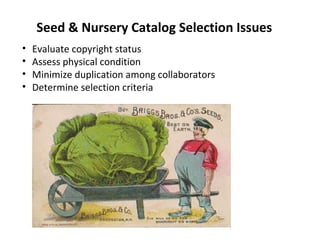 •50,000+ catalogs in collection
•Previous NEH grant
•Catalog whole seed & nursery catalog collection
•Digitize a portion
•...