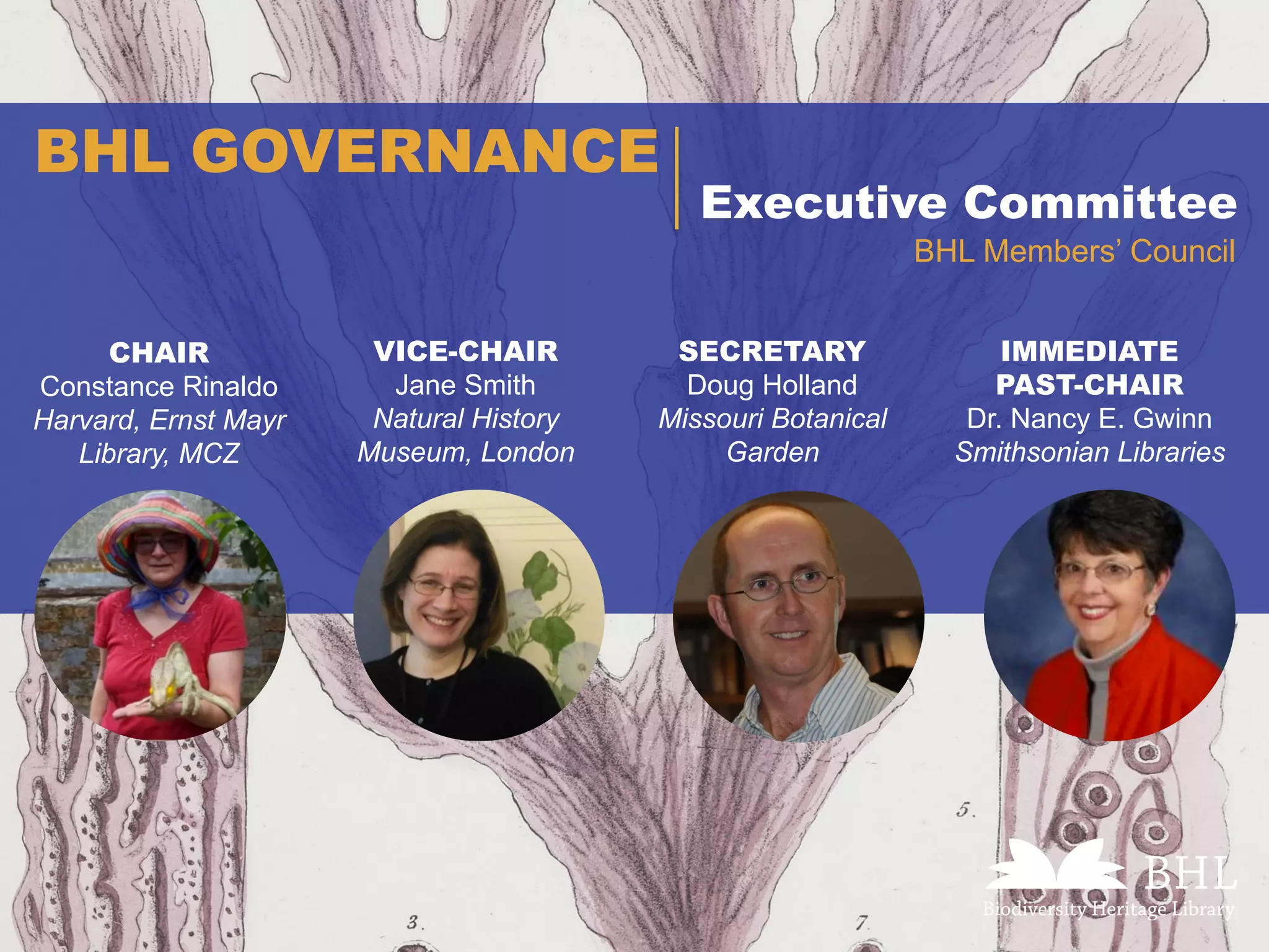 Executive Committee
BHL GOVERNANCE
BHL Members’ Council
IMMEDIATE
PAST-CHAIR
Dr. Nancy E. Gwinn
Smithsonian Libraries
CHAIR
Constance Rinaldo
Harvard, Ernst Mayr
Library, MCZ
VICE-CHAIR
Jane Smith
Natural History
Museum, London
SECRETARY
Doug Holland
Missouri Botanical
Garden
 