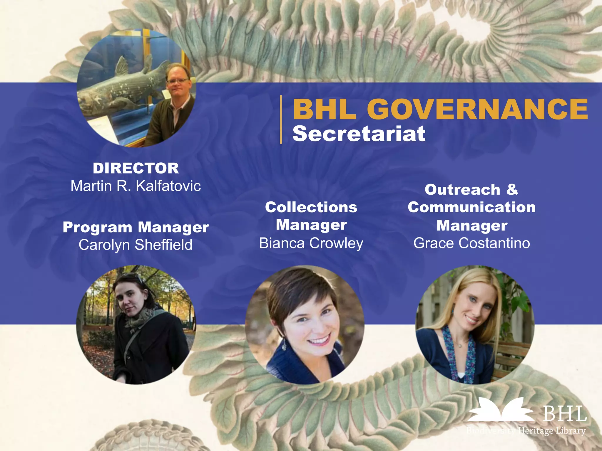Secretariat
BHL GOVERNANCE
DIRECTOR
Martin R. Kalfatovic
Program Manager
Carolyn Sheffield
Collections
Manager
Bianca Crowley
Outreach &
Communication
Manager
Grace Costantino
 