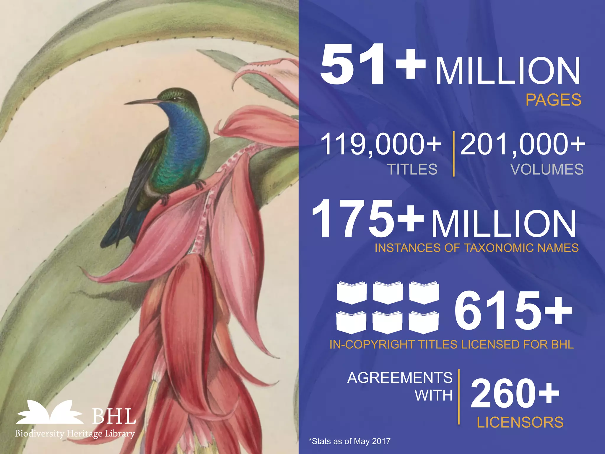 51+MILLION
PAGES
TITLES VOLUMES
119,000+ 201,000+
175+MILLIONINSTANCES OF TAXONOMIC NAMES
615+IN-COPYRIGHT TITLES LICENSED FOR BHL
AGREEMENTS
WITH 260+
LICENSORS
*Stats as of May 2017
 