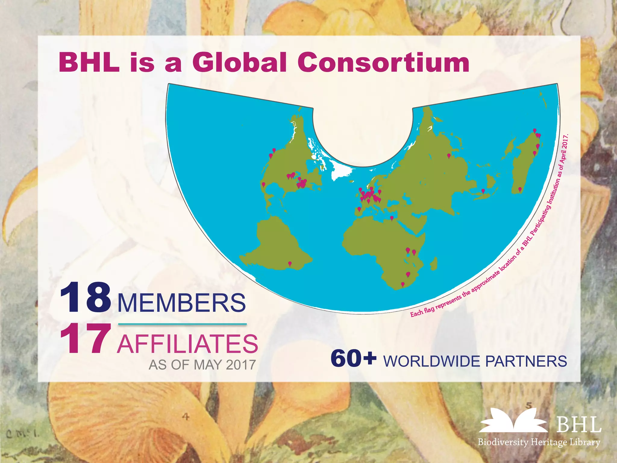 BHL is a Global Consortium
18MEMBERS
AS OF MAY 2017
17AFFILIATES
60+ WORLDWIDE PARTNERS
 