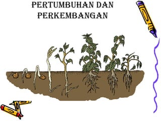 pertumbuhan dan perkembangan tumbuhan paper pertumbuhan dan perkembangan tumbuhan paper