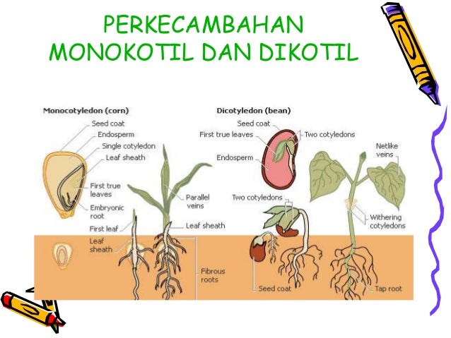 soil temperature vs air temperature