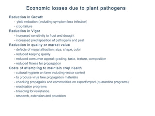 Economic losses due to plant pathogens
Reduction in Growth
- yield reduction (including symptom less infection)
- crop failure
Reduction in Vigor
- increased sensitivity to frost and drought
- increased predisposition of pathogens and pest
Reduction in quality or market value
- defects of visual attraction: size, shape, color
- reduced keeping quality
- reduced consumer appeal: grading, taste, texture, composition
- reduced fitness for propagation
Costs of attempting to maintain crop health
- cultural hygiene on farm including vector control
- to produce virus free propagation materials
- checking propagules and commodities on export/import (quarantine programs)
- eradication programs
- breeding for resistance
- research, extension and education
 