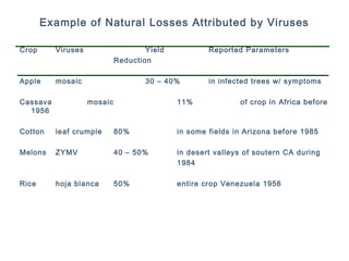 Example of Natural Losses Attributed by Viruses
Crop Viruses Yield Reported Parameters
Reduction
Apple mosaic 30 – 40% in infected trees w/ symptoms
Cassava mosaic 11% of crop in Africa before
1956
Cotton leaf crumple 80% in some fields in Arizona before 1985
Melons ZYMV 40 – 50% in desert valleys of soutern CA during
1984
Rice hoja blanca 50% entire crop Venezuela 1956
 