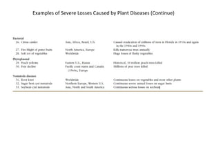 Examples of Severe Losses Caused by Plant Diseases (Continue)
 