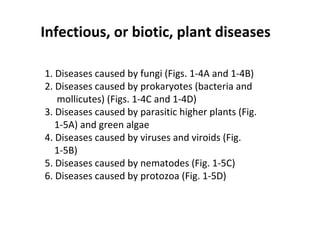 Infectious, or biotic, plant diseases
1. Diseases caused by fungi (Figs. 1-4A and 1-4B)
2. Diseases caused by prokaryotes (bacteria and
mollicutes) (Figs. 1-4C and 1-4D)
3. Diseases caused by parasitic higher plants (Fig.
1-5A) and green algae
4. Diseases caused by viruses and viroids (Fig.
1-5B)
5. Diseases caused by nematodes (Fig. 1-5C)
6. Diseases caused by protozoa (Fig. 1-5D)
 