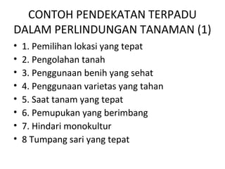 CONTOH PENDEKATAN TERPADU
DALAM PERLINDUNGAN TANAMAN (1)
• 1. Pemilihan lokasi yang tepat
• 2. Pengolahan tanah
• 3. Penggunaan benih yang sehat
• 4. Penggunaan varietas yang tahan
• 5. Saat tanam yang tepat
• 6. Pemupukan yang berimbang
• 7. Hindari monokultur
• 8 Tumpang sari yang tepat
 