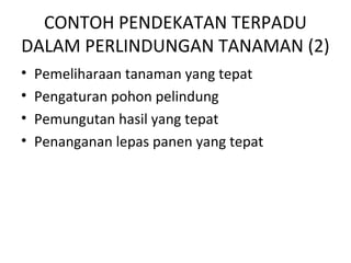 CONTOH PENDEKATAN TERPADU
DALAM PERLINDUNGAN TANAMAN (2)
• Pemeliharaan tanaman yang tepat
• Pengaturan pohon pelindung
• Pemungutan hasil yang tepat
• Penanganan lepas panen yang tepat
 