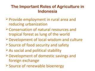 The Important Roles of Agriculture in
Indonesia
Provide employment in rural area and
reducing urbanization
Conservation of natural resources and
tropical forest as lung of the world
Development of local wisdom and culture
Source of food security and safety
As social and political stability
Development of domestic savings and
foreign exchange
Source of renewable bioenergy
 