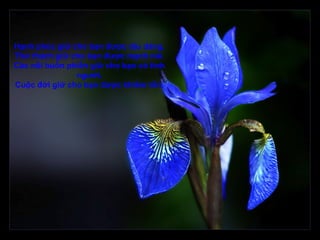 Hạnh phúc giữ cho bạn được dịu dàng,
Thử thách giữ cho bạn được mạnh mẽ.
Các nỗi buồn phiền giữ cho bạn có tình
               người,
Cuộc đời giữ cho bạn được khiêm tốn.
 