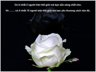 Có ít nhất 2 người trên thế giới mà bạn sẵn sàng chết cho.

Và ……. có ít nhất 15 người trên thế giới mà bạn yêu thương cách nào đó.
 