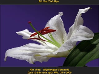 Bó Hoa Tình Bạn




  Âm nhạc: Nightengale Serenade
Dịch từ bản Anh ngữ: HPL, 29-1-2009
 