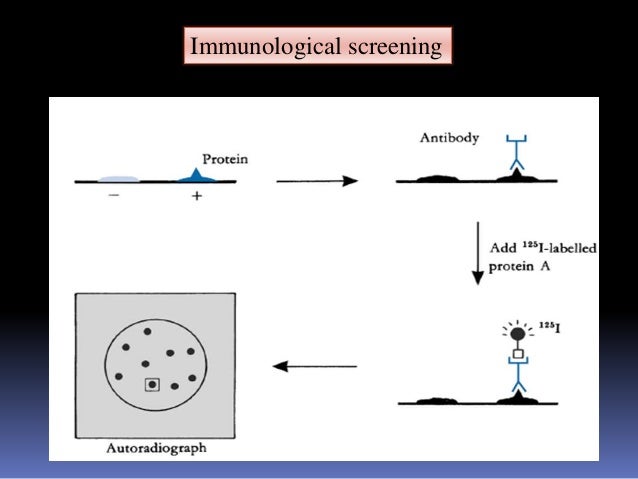 subcloning