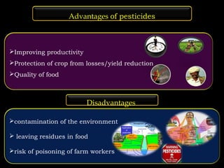 Advantages of pesticides 
Improving productivity 
Protection of crop from losses/yield reduction 
Quality of food 
Disadvantages 
contamination of the environment 
 leaving residues in food 
risk of poisoning of farm workers 
 