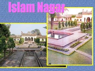 Islam Nagar 