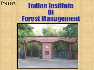 Present Indian Institute Of  Forest Management 