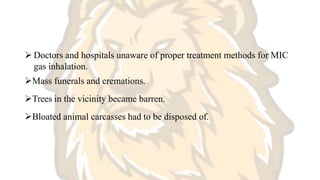  Doctors and hospitals unaware of proper treatment methods for MIC
gas inhalation.
Mass funerals and cremations.
Trees in the vicinity became barren.
Bloated animal carcasses had to be disposed of.
 