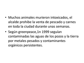 • Muchos animales murieron intoxicados, el
  alcalde prohibe la venta de pescado y carnes
  en toda la ciudad durante unas semanas.
• Según greenpeace,1n 1999 seguían
  contaminadas las aguas de los pozos y la tierra
  por metales pesados y contaminantes
  orgánicos persistentes.
 