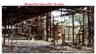 Bhopal Gas plant after 35 years
 