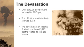 The Devastation
• Over 500,000 people were
exposed to MIC gas.
• The official immediate death
toll was 2,259.
• The government of Madhya
Pradesh confirmed 3,787
deaths related to the gas
release
 