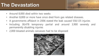 The Devastation
• Around 8,000 died within two weeks
• Another 8,000 or more have since died from gas related diseases.
• A governments affidavit in 2006 stated the leak caused 558,125 injuries
• Including 38,478 temporary partial and around 3,900 severely and
permanently disabling injuries
• 2,000 bloated animals carcasses had to be disposed
 