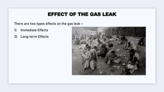 Bhopal Gas Leak Tragedy - A Night of death | PDF