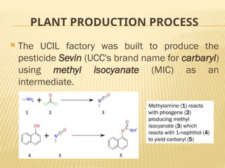 PLANT PRODUCTION PROCESS
 The UCIL factory was built to produce the
pesticide Sevin (UCC's brand name for carbaryl)
using methyl isocyanate (MIC) as an
intermediate.
Methylamine (1) reacts
with phosgene (2)
producing methyl
isocyanate (3) which
reacts with 1-naphthol (4)
to yield carbaryl (5)
 