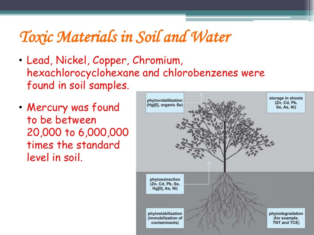 Bhopal gas tragedy case study with answers picture