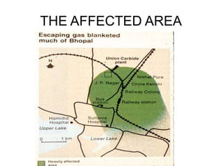 THE AFFECTED AREA
 