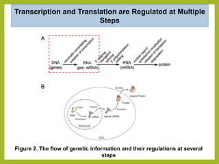 Transcription factors and their role in plant disease resistance | PPTX