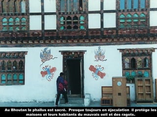 Au Bhoutan le phallus est sacré. Presque toujours en éjaculation il protège les
maisons et leurs habitants du mauvais oeil et des ragots.
 