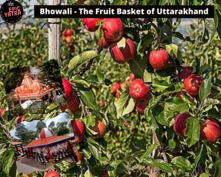 Bhowali The fruit basket.pdf