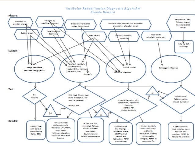 evidence based practice in vestibular rehabilitation repositioning chart