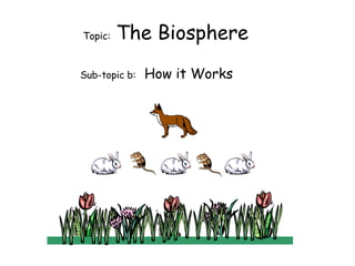 Topic:  The Biosphere Sub-topic b:  How it Works 