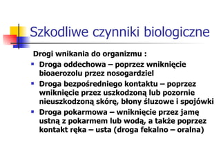 Szkodliwe czynniki biologiczne Drogi wnikania do organizmu : Droga oddechowa – poprzez wniknięcie bioaerozolu przez nosogardziel Droga bezpośredniego kontaktu – poprzez wniknięcie przez uszkodzoną lub pozornie nieuszkodzoną skórę, błony śluzowe i spojówki Droga pokarmowa – wniknięcie przez jamę ustną z pokarmem lub wodą, a także poprzez kontakt ręka – usta (droga fekalno – oralna) 
