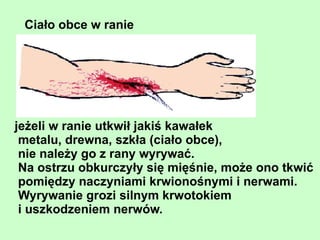 mikroorganizmy bakterie 