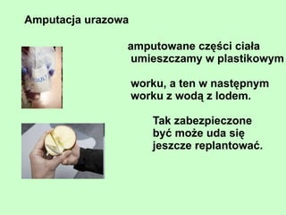 pierwotniaki substancje wytwarzane  przez mikroorganizmy toksyny 