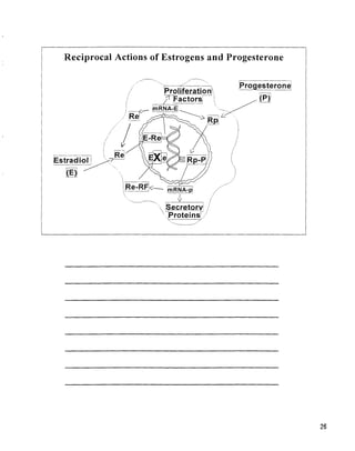 BHRT for the Pharmacist 2003