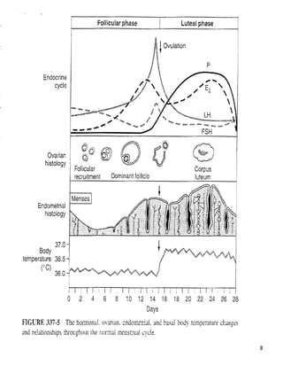BHRT for the Pharmacist 2003