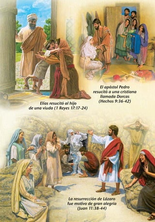 ´
                                      El apostol Pedro
                                          ´
                                  resucito a una cristiana
                                      llamada Dorcas
        ´          ´                 (Hechos 9:36-42)
     Elıas resucito al hijo
de una viuda (1 Reyes 17:17-24)




                                   ´      ´
                     La resurreccion de Lazaro
                                             ´
                    fue motivo de gran alegrıa
                          (Juan 11:38-44)
 