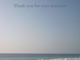 Thank you for your attention

 