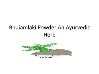 Bhuiamlaki Powder An Ayurvedic
Herb
 