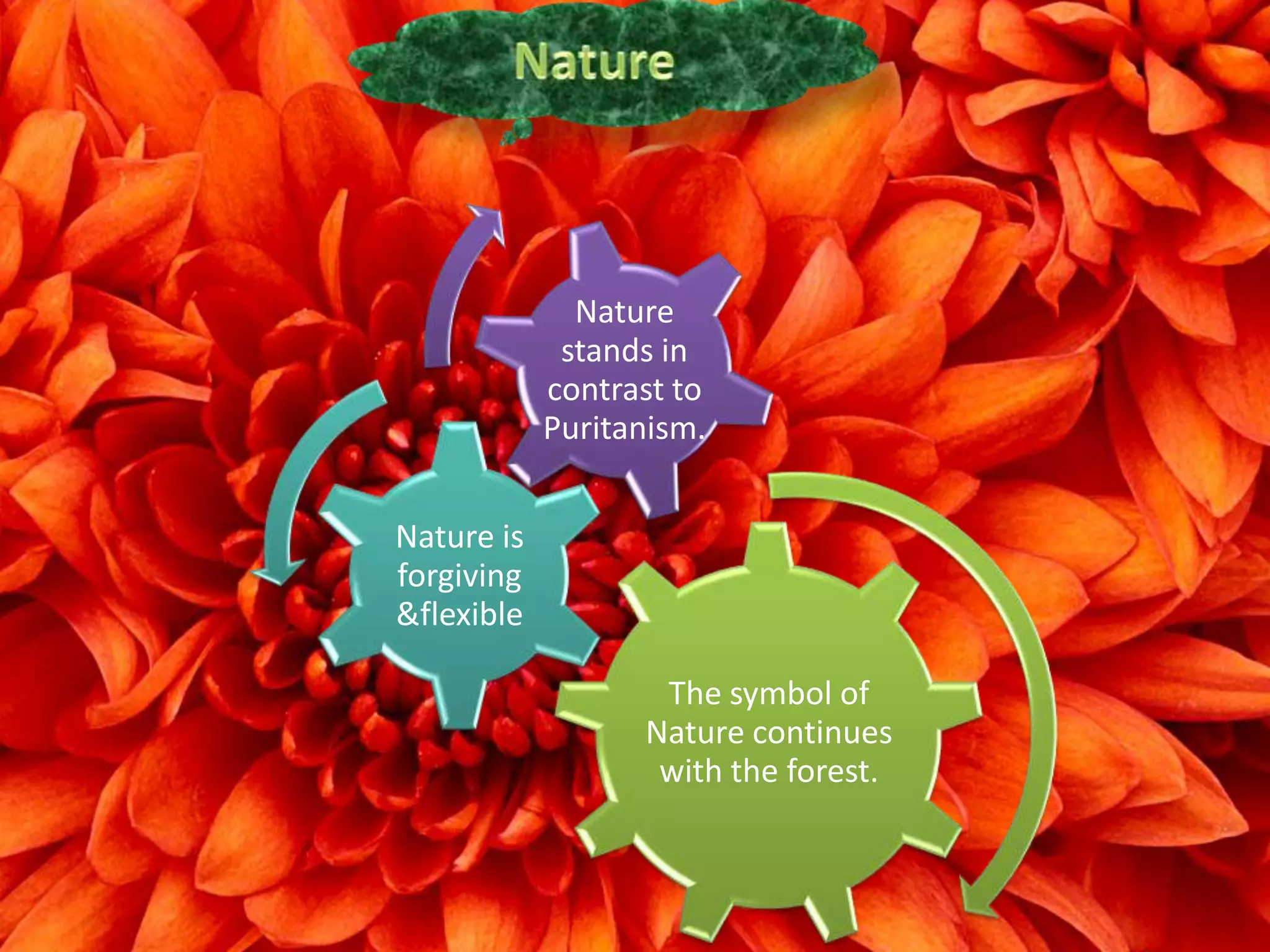 Nature
stands in
contrast to
Puritanism.
Nature is
forgiving
&flexible
The symbol of
Nature continues
with the forest.

 
