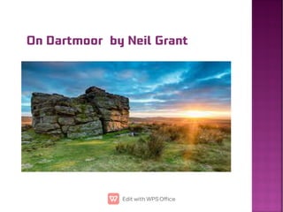 On Dartmoor by Neil Grant
 