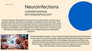 Infectious diseases of nervous systemmmm | PDF