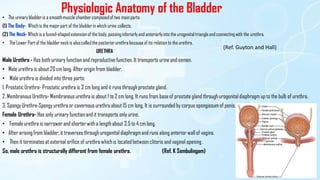 (Ref. Guyton and Hall)
Physiologic Anatomy of the Bladder
• The urinary bladderis a smoothmusclechambercomposedof two main parts:
(1) The Body- Whichis the majorpart of the bladderin which urine collects.
(2) The Neck- Whichis a funnel-shapedextensionof the body, passinginferiorly and anteriorlyinto the urogenitaltriangleand connectingwith the urethra.
• The Lower Part of the bladderneckis alsocalledthe posteriorurethrabecauseof its relation to the urethra.
URETHRA
Male Urethra - Has both urinary function and reproductive function. It transports urine and semen.
• Male urethra is about 20 cm long. After origin from bladder.
• Male urethra is divided into three parts:
1. Prostatic Urethra- Prostatic urethra is 3 cm long and it runs through prostate gland.
2. Membranous Urethra- Membranous urethra is about 1 to 2 cm long. It runs from base of prostate gland through urogenital diaphragm up to the bulb of urethra.
3. Spongy Urethra-Spongy urethra or cavernous urethra about 15 cm long. It is surrounded by corpus spongiosum of penis.
Female Urethra- Has only urinary function and it transports only urine.
• Female urethra is narrower and shorterwith a length about 3.5 to 4 cm long.
• After arising from bladder, it traverses through urogenital diaphragmand runs along anterior wall of vagina.
• Then it terminates at external orifice of urethra whichis located between clitoris and vaginal opening .
So, male urethra is structurally different from female urethra. (Ref. K Sembulingam)
 